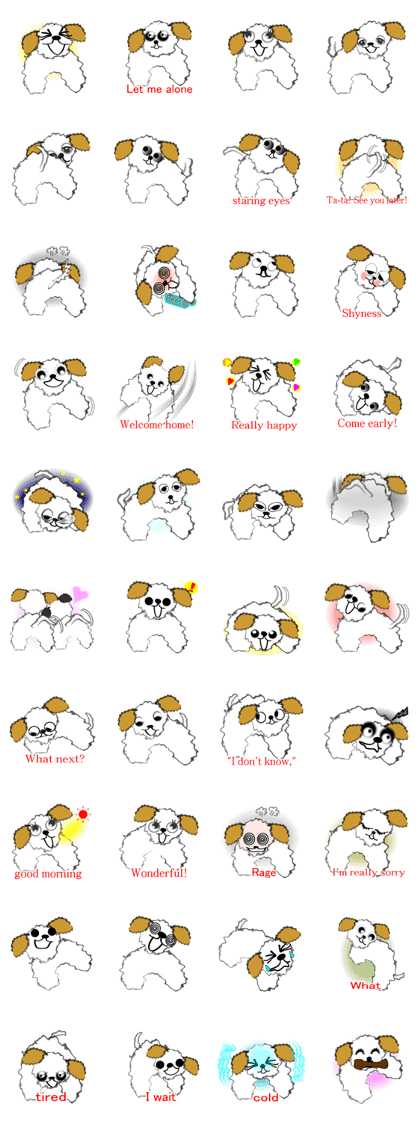 Family dog "marusuke" Family dog "marusuke"