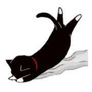 Black cat Kotaro Black cat Kotaro