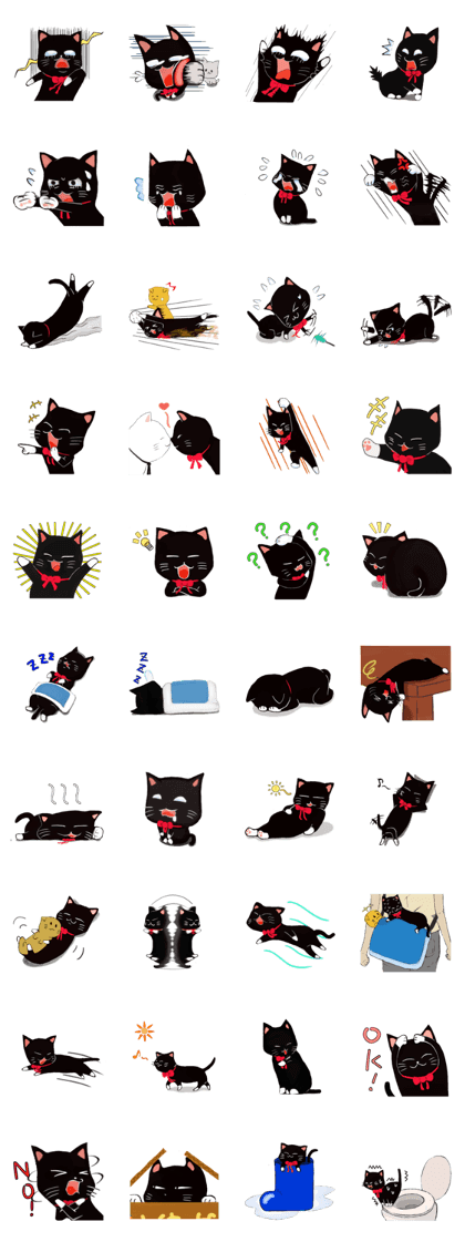 Black cat Kotaro Black cat Kotaro