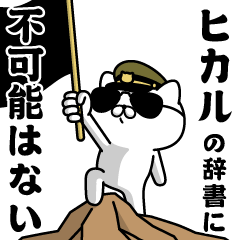 "HIKARU"name/Military cat