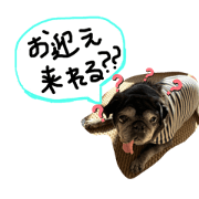 Mio_20200131222238
