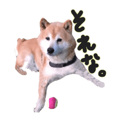 kurumi_20200131233831