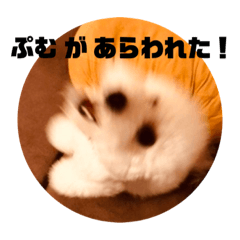 nao_20200131221829