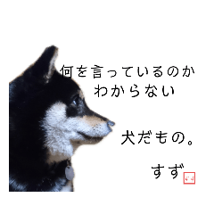 黒豆柴すずの名言集vol.1