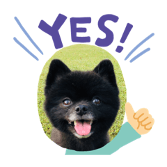 TETSU_20200201020643