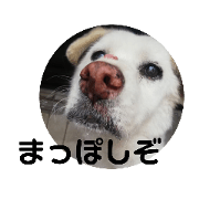 dorimi_20200201012758