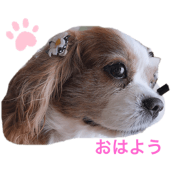RINA_20200201112432