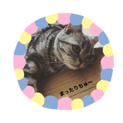 yukari_20200201123750