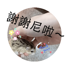 楚家小萌鼠3