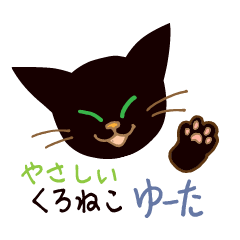 Gentle black cat Yuta