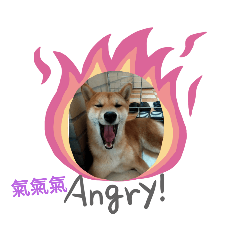 財財的貼圖