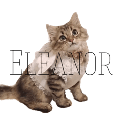 Minuet's daily life  {Eleanor}