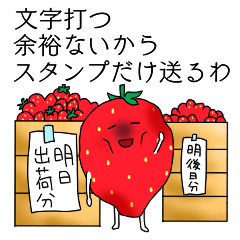 strawberry worker3