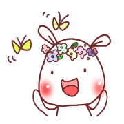 nomal rabbit