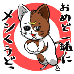 일본 센다이에 사는 고양이 제 2 탄