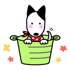 Bucket dog by Miniture bull terrier