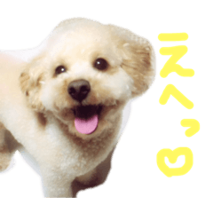 My sweet sweet pets.