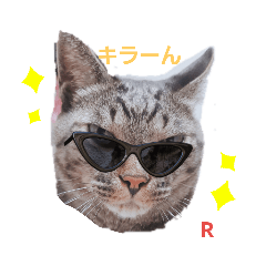 yun_20200201224654