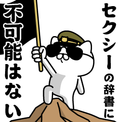"SEXY"name/Military cat