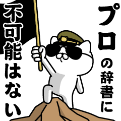 "PRO"name/Military cat