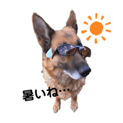 nanami_20200202004626