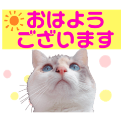 tomomi_20200202015527