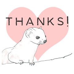 Shorttail weasel : summer and winter