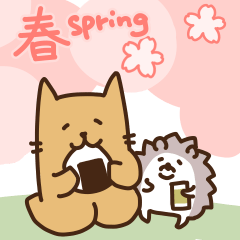 TAREME CAT in spring