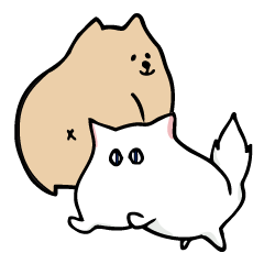 A little fat dog & the whim cat