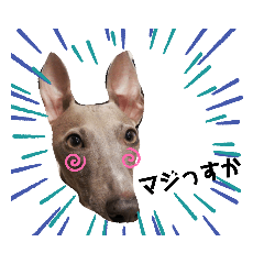 kiki chan_20200201171525