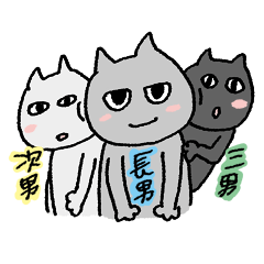 Three brothers of cat