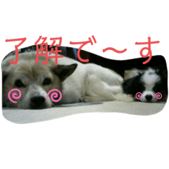 natsumi_20200201222152