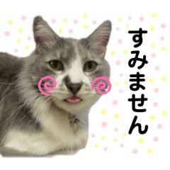 matsu_20200202092857