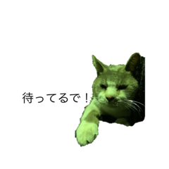 nekomata_20200202111543