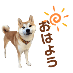 honey_20200202124418