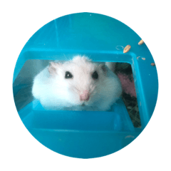 haruna_20200202133446