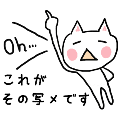 写メやurlを送る時に編 ねここスタンプ Line スタンプ Line Store 写メやurlを送る時に編 ねここスタンプ Line スタンプ Line Store