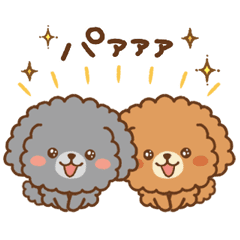 Small Toy Poodle sticker02