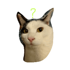 kazuki_20200202183910