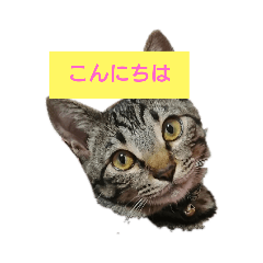 MATSU_20200202185626