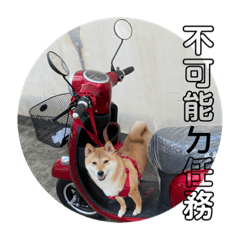 嗨啾教你回應人森