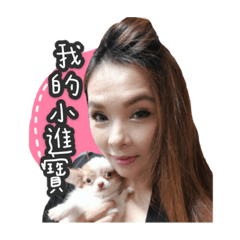 我的小進寶