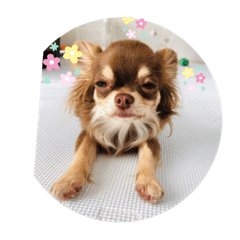 タラクラミック