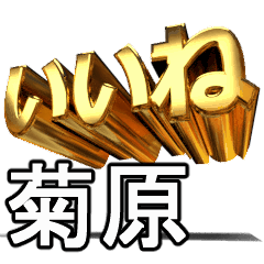 動く!金文字【菊原,きくはら】