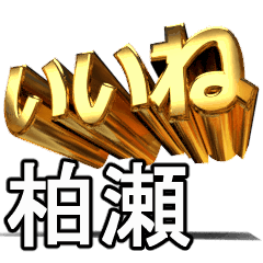 動く!金文字【柏瀬,かしわせ】