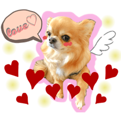 chloesy_20200202194344