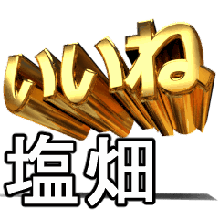 動く!金文字【塩畑,しおはた】