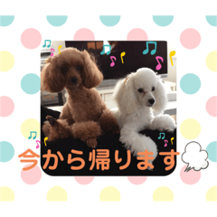 chie_20200202194432