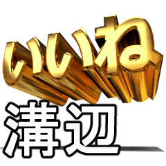 動く!金文字【溝辺,みぞべ】