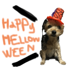 arisa_20200202220532